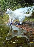 Muttluks, Mud Monsters All Terrain Rugged Summer Dog Boots with Rubber Soles for Hiking Running and Swimming - 2 Boots