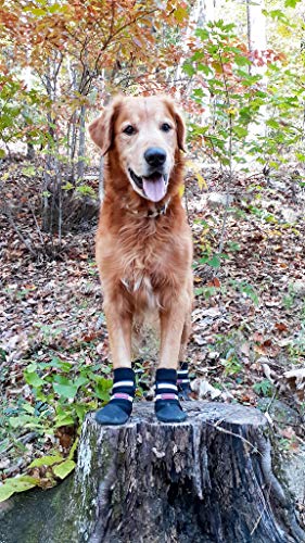 All Weather Neoprene Paw Protector Dog Boots with...