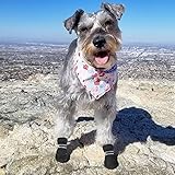 QUMY 4PCS Dog Shoes for Small Dogs, Hot Pavement Summer Puppy Dog Boots & Paw Protectors with Soft Anti-Slip Rubber Sole, Mesh Breathable Dog Booties for Hardfloors, Walking Running Black Size 1 QUMY 4PCS Dog Shoes for Small Dogs, Hot Pavement Summer Puppy Dog Boots & Paw Protectors with Soft Anti-Slip Rubber Sole, Mesh Breathable Dog Booties for Hardfloors, Walking Running Black Size 1
