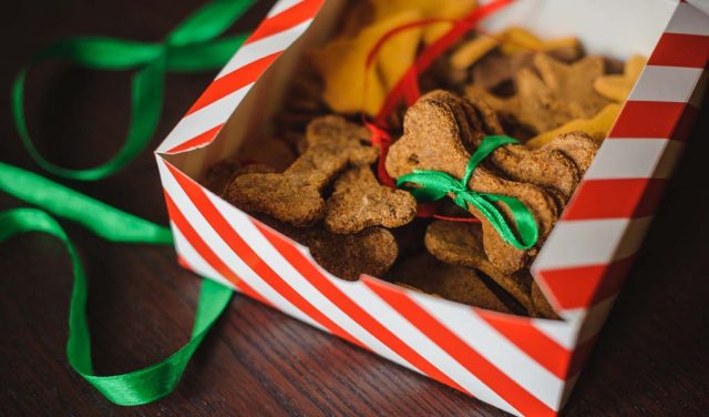 Best Christmas Dinner Recipes for Dogs Best Christmas Dinner Recipes for Dogs