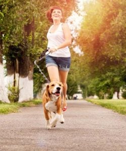 Dog and owner running in early morning - ways to keep dog cool in summer