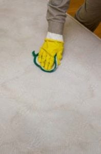 Dry the Area of Dog Pee on a Mattress