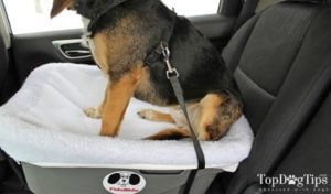 My beagle Molly testing the Fido Rido seat. My beagle Molly testing the Fido Rido seat.