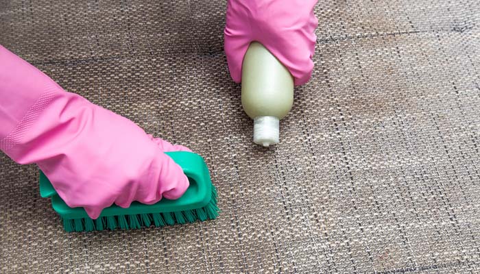 How to Get Dog Pee Out of a Mattress - Most Effective Techniques