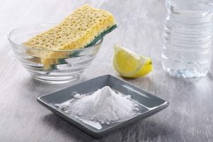 Lemon Juice to Fight Dog Pee Stains and Odor on a Mattress