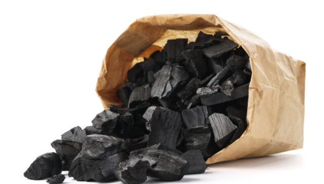 my dog ate charcoal my dog ate charcoal