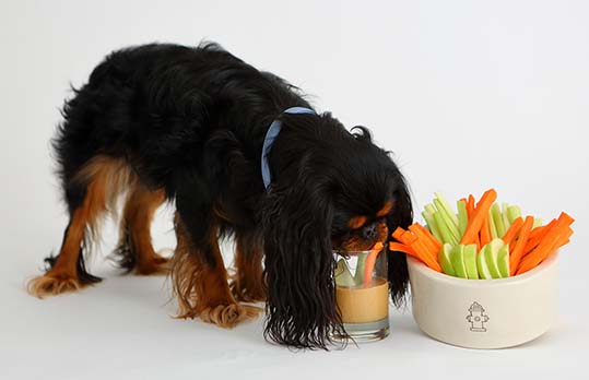 Paws-Itively Peanutty Crudites Dog Treats Paws-Itively Peanutty Crudites Dog Treats