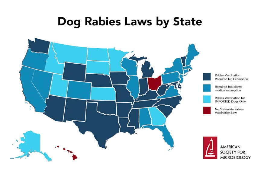 Dog Rabies Laws by State