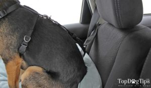 Here's what the Snoozer seat's attachment looks. Here's what the Snoozer seat's attachment looks.