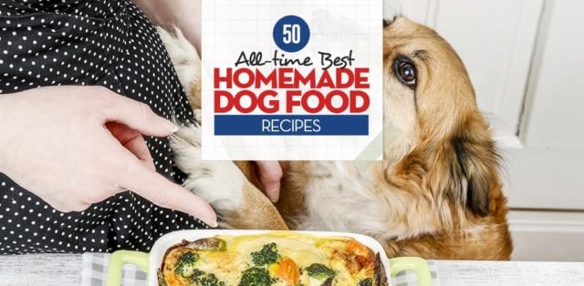 Top Best Homemade Dog Food Recipes Top Best Homemade Dog Food Recipes
