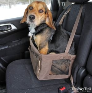 How my beagle Molly fits into this seat. How my beagle Molly fits into this seat.
